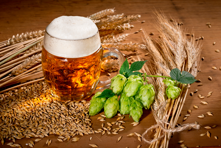 Título apartado 02.